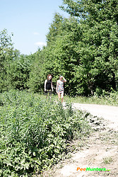 Image description