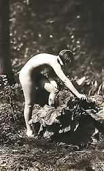 Image description