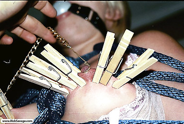 Image description