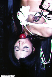 Image description