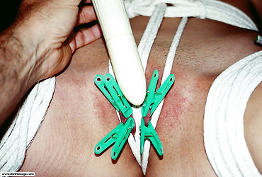 Image description