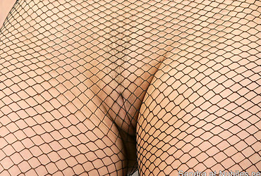 Image description