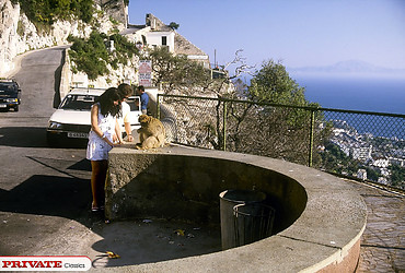 Image description