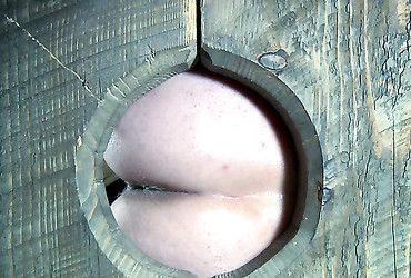 Image description