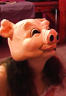 Dominiques Submission2