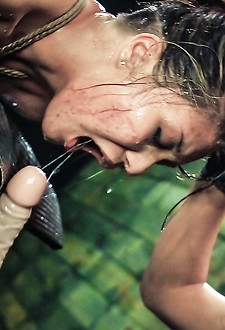 Sybian Fun with Mena Li, Lexy Villa, Mila Blaze 16