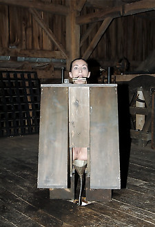 Bitch in a Box - BONUS